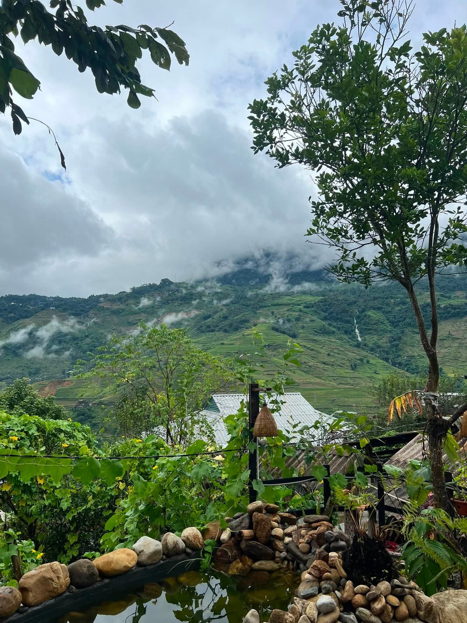 Mây phủ thung lũng nhìn từ khu vườn Cloud Valley